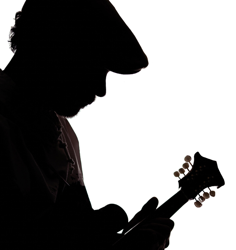 Byrdstir mandolin silhouette